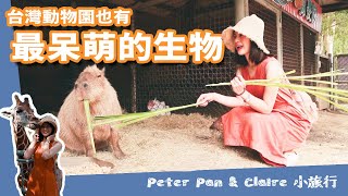 Fw: [遊記][學甲] 頑皮世界有最呆萌的生物水豚君