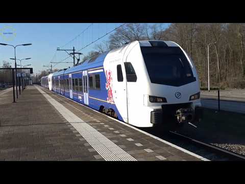 Euro Rails 244 - De Stadler Flirt in Nederland