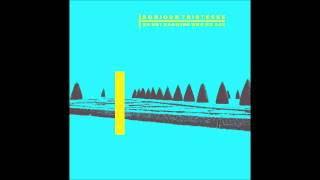 Bonjour Tristesse - Partner In Crime - On Not Knowing Who We Are LP (2012 - La Forme Lente - LFL6)