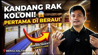 Download lagu FINALLY HERE! A Sneak Peek at the FIRST Colony Rack System Farm in Berau, East Kalimantan 🚀 mp3