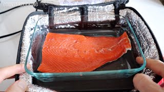 Cooking Salmon In A Hot Logic Mini