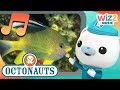 The Porcupine Puffer Fish Song Songs For Kids Octonauts Wizz Music
