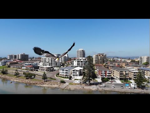 360° Aerial of The Entrance - Kayaking Central Coast NSW
