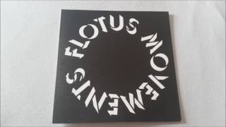 Lambchop - Flotus (Twit One Movements Remix)