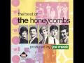 The Honeycombs - Something I got to tell you 