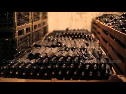 How can CropBioLife help your vineyards 3 minute video