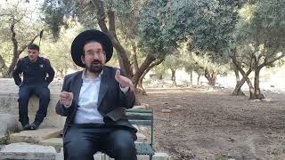 עת להשתוקק ועת לעשות • קומו ועלו ציון | הרב אליהו ובר (ישיבת הר הבית) - התמונה מוצגת ישירות מתוך אתר האינטרנט יוטיוב. זכויות היוצרים בתמונה שייכות ליוצרה. קישור קרדיט למקור התוכן נמצא בתוך דף הסרטון