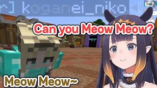 Ina turning her JP kouhais into Cats