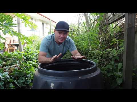 Cured Cardboard Worm Bedding take it to the NEXT LEVEL