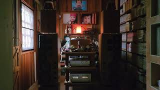 Like a fool, Alibi : Shelby Lynne : Tears, Lies and Alibis