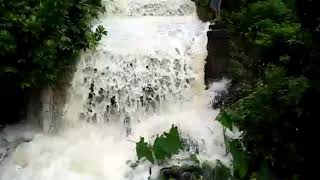preview picture of video 'Rain lashes in coorg.overflow of stream'