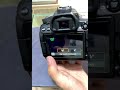 Canon 80d High Speed Shooting Settings Canon80d Shorts