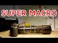 Super Macro! Macro lens + TWO extension tubes ...