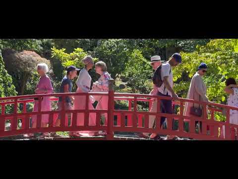Musée Albert Kahn et son Jardin à Boulogne-Billancourt (Hauts-de-Seine), Jardin Japonais