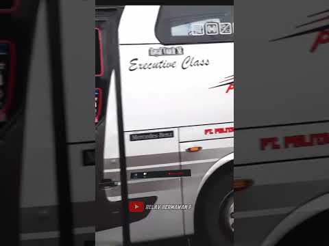 Bus Pebepe | Arnius single glass mbois #shorts