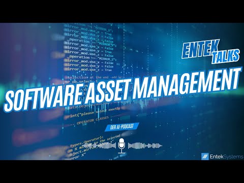 Software-Audits - Kosten und Komplexität als Herausforderungen