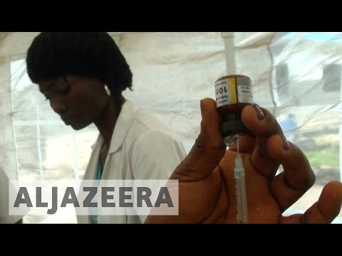 WHO issues yellow fever spread warning