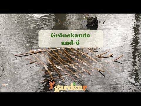 Lush duck island - Gardenhacks by GardenR