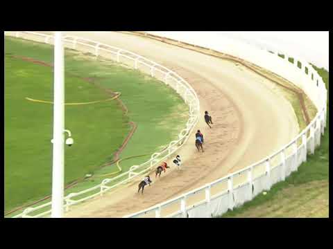 First Container Marathon