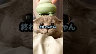 ワイ女子大生、彼氏がゲーム実況者になりたいと言い出し戸惑う