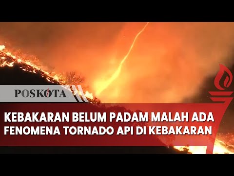 Kebakaran Los Angeles Belum Padam, Muncul Fenomena Tornado Api Ditengah Kebakaran
