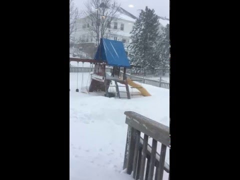 Dog climbs swing set to get away from storm