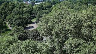 Cheval Thorney Court, London, United Kingdom | Travel Lover