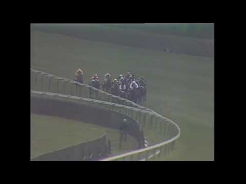 Top 50 Greatest European Racehorses 1955 - 2018