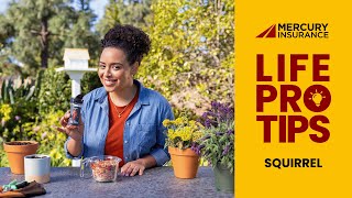 Mercury Insurance #LifeProTips: Squirrel (2026 Commercial)