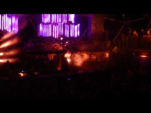 Dj Fresh in the village - Shambhala 2011 Live - HD