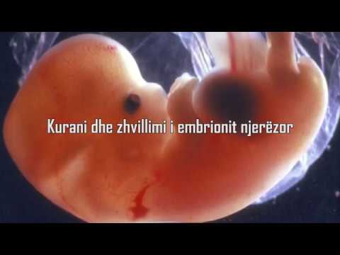 Mrekullitë shkencore në Kuran (Pjesa 1)