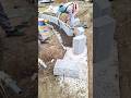 Curb Stone laying Fixing!