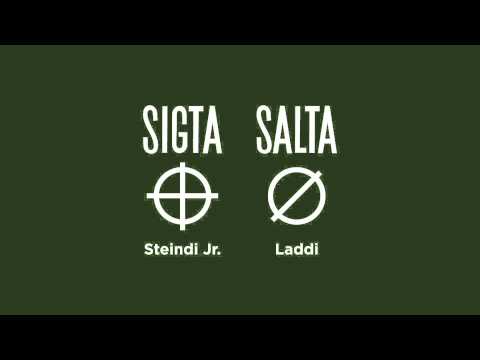 Hljómskálinn - Sigta Salta - Steindi JR og Laddi(prod. Unnsteinn Manuel) Radio Edit