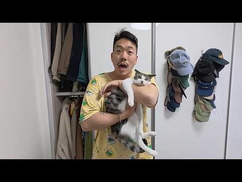 비 오는 날 길에서 구조한 고양이가 사고를 너무 많이 칩니다.. 하.. 어쩌면 좋을까요..?