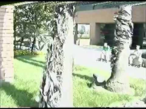 Coup De Tat (2000) 06 Champion Baumstimler Section Rollerblading