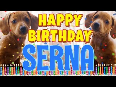 Happy Birthday Serna! ( Funny Talking Dogs ) What Is Free On My Birthday