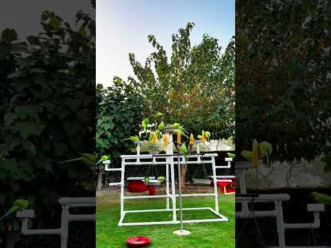 Pleasure  Of The Nature @zahidaabbasi