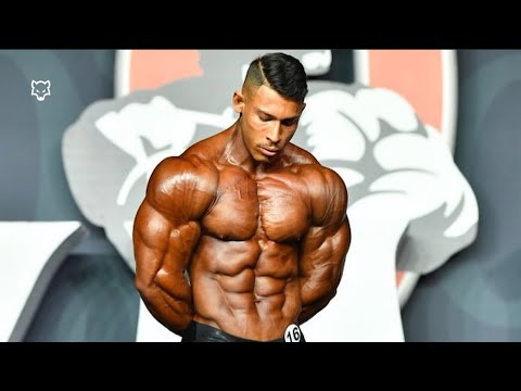 BAD WOLF 🐺 - Ramon Dinossauro