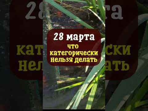 Приметы на сегодняшний день. Интересные приметы про любовь. Приметы надпись. 28 сентября что нельзя делать народные приметы. Народные приметы надпись.