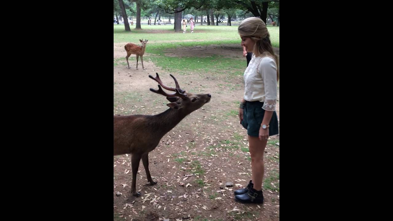 YouTube Short thumbnail