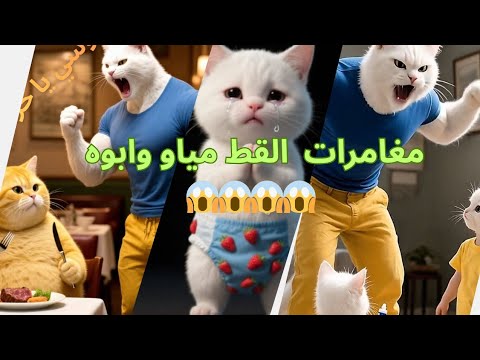 مغامرات القط مياو وابوه لا تصدق 😱