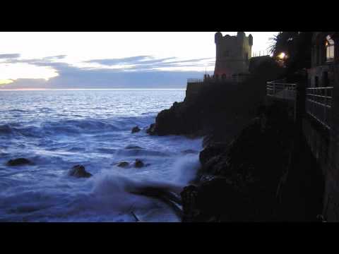 Europa (Tom Coster Accordion, Frank Gambale Guitar).m4v