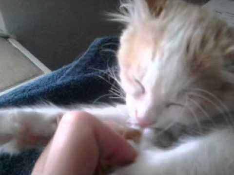 Anakin And His Pacifier