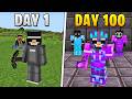 I Survived 100 Days On The Lifesteal SMP