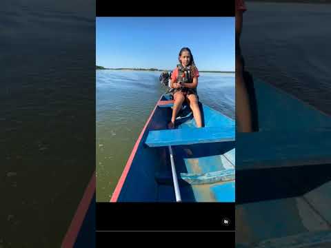 Vem pra Pau Darco Tocantins