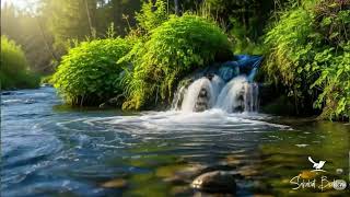 Download lagu Suara air sungai untuk terapi burung stress mp3
