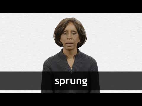 SPRUNG definition and meaning