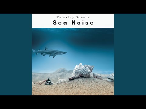 Unique Beach Noises Garden