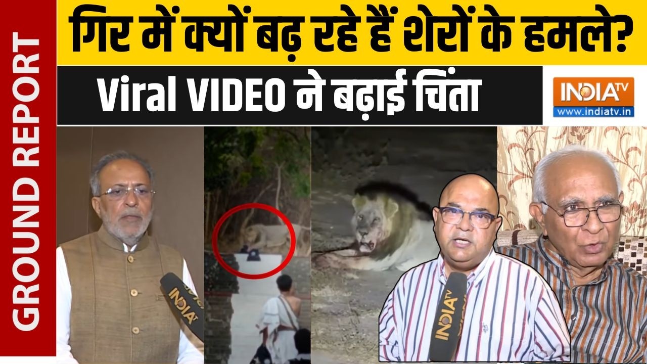 Gujarat Lion Attack: गिर में बढ़ा शेर-इंसान के बीच संघर्ष, शेरनी के 