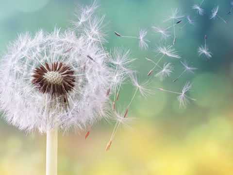 Poezia "Timpule, cum ai trecut" de Dalia Alina Moldovan